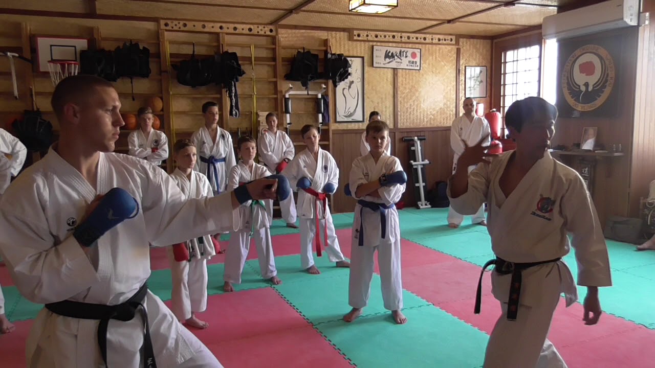 Seminar by Nukina Ukraine 2018 baze of Wado kumite // Part 1