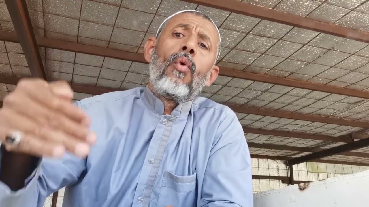النحل في نجم المقدم