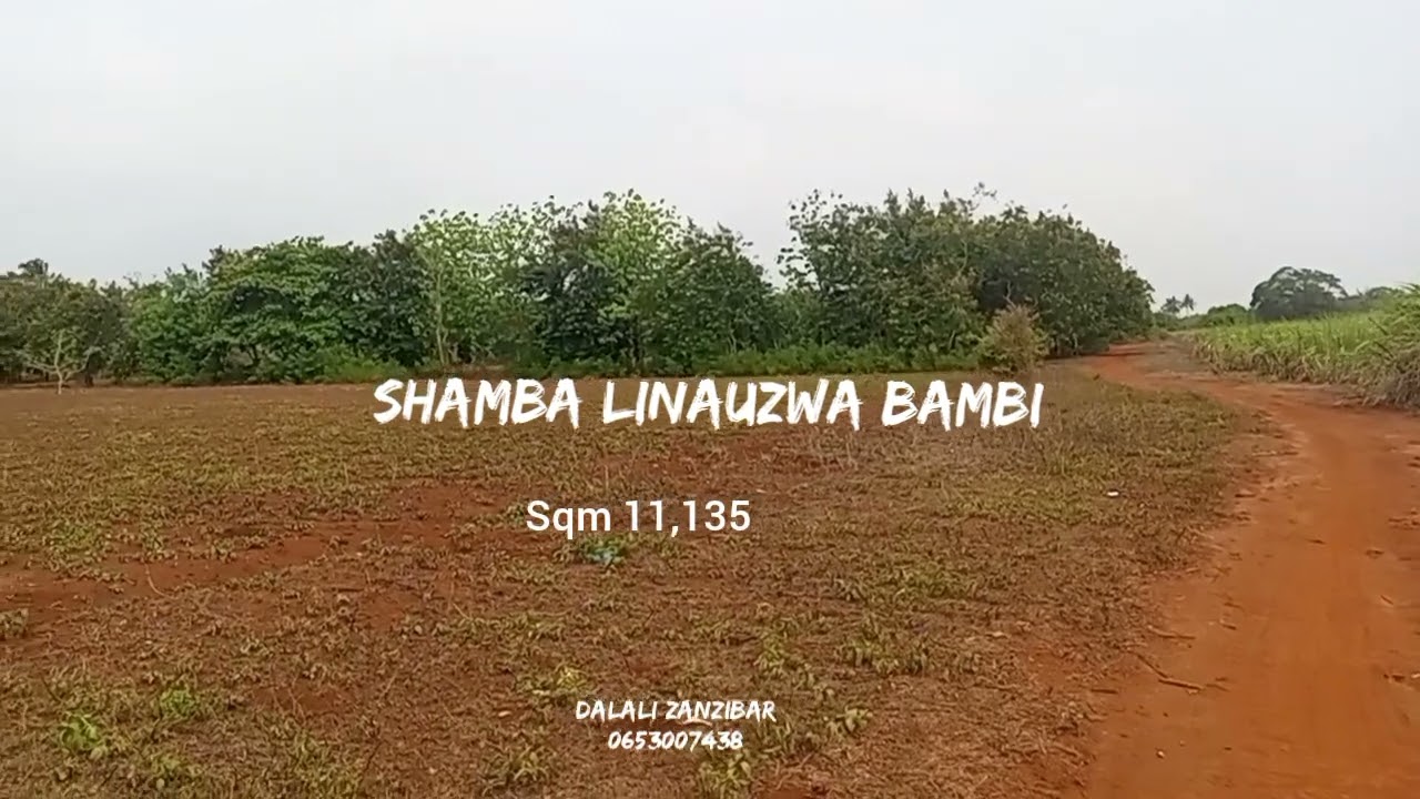 SHAMBA LINAUZWA BAMBI, ZANZIBAR, BEI TSH M 40 (0653007438)