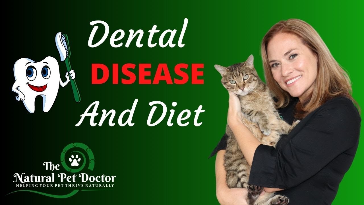 Dental Disease, Diet, and Natural Remedies in Your Dogs and Cats with Dr. Katie Woodley
