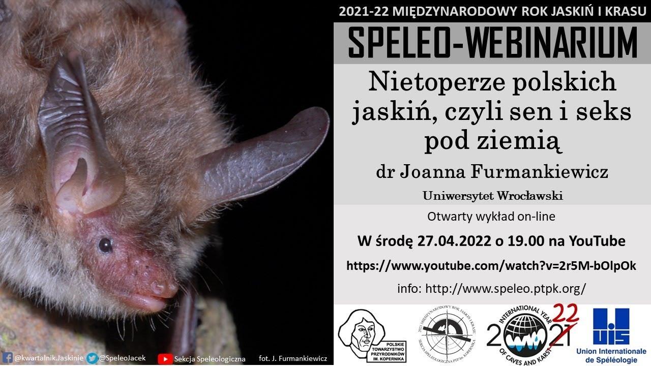 SpeleoWebinarium E13: Nietoperze polskich jaskiń, czyli sen i seks pod ziemią