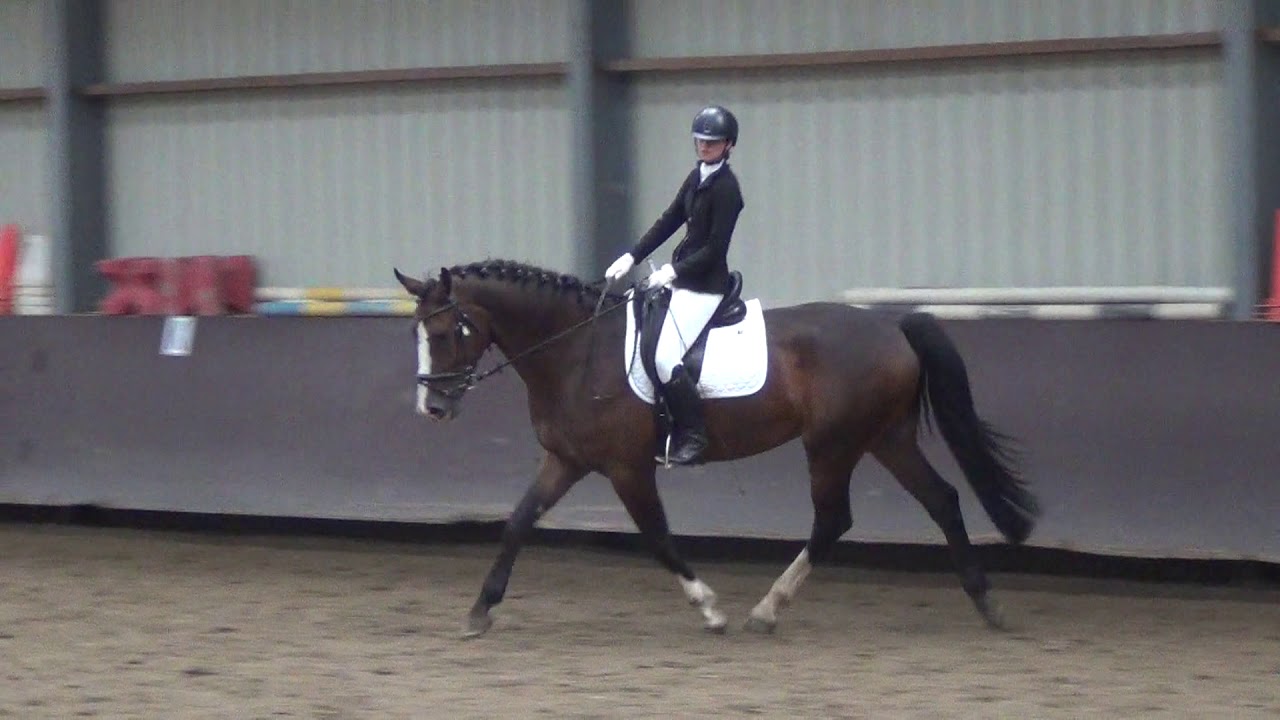2019 Femke paardeproef F8
