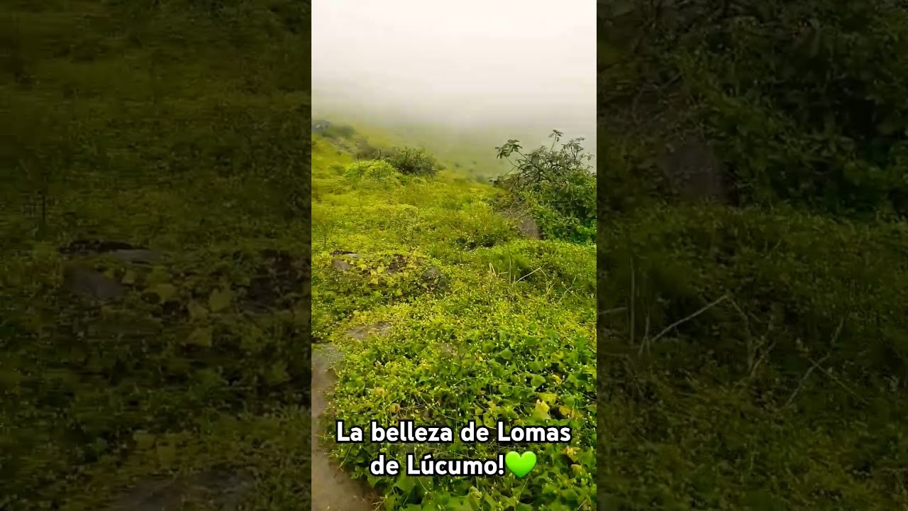 Lomas de L&uacute;cumo, Lima, Per&uacute;.