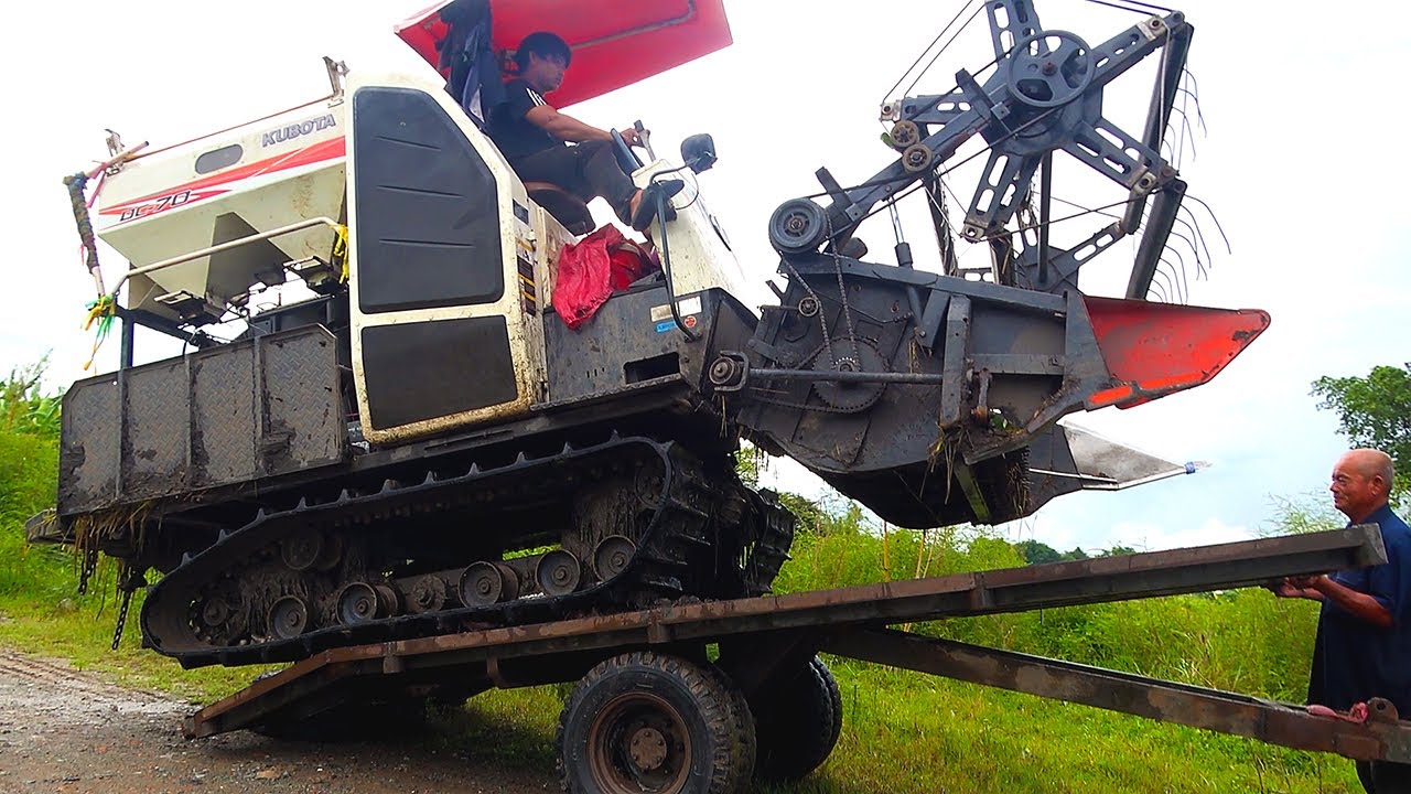 Máy Gặt Kubota DC70 Cắt Lúa Cực Mượt | Nhạc Sôi Động Trên Đồng | Rice Harvester #636