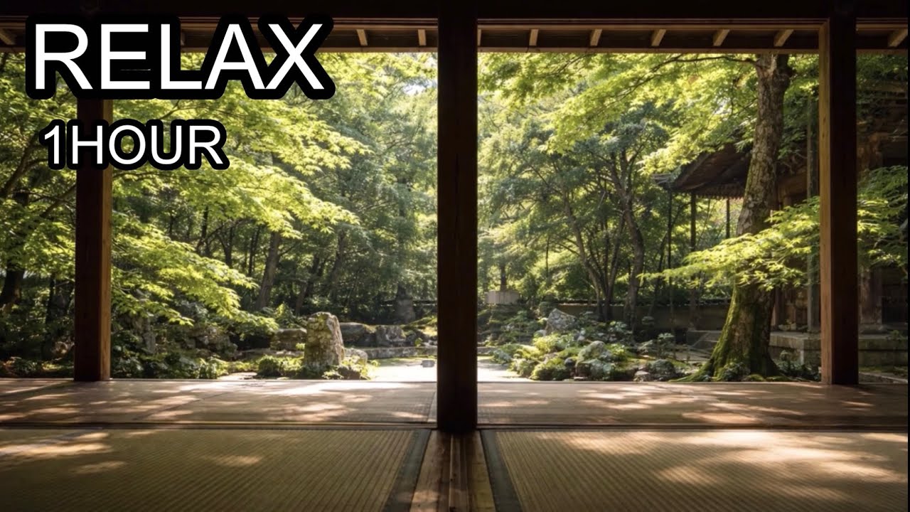 【RELAX】Summer Veranda & Green Maple Leaves | Japanese Ambient Music for Relaxation
