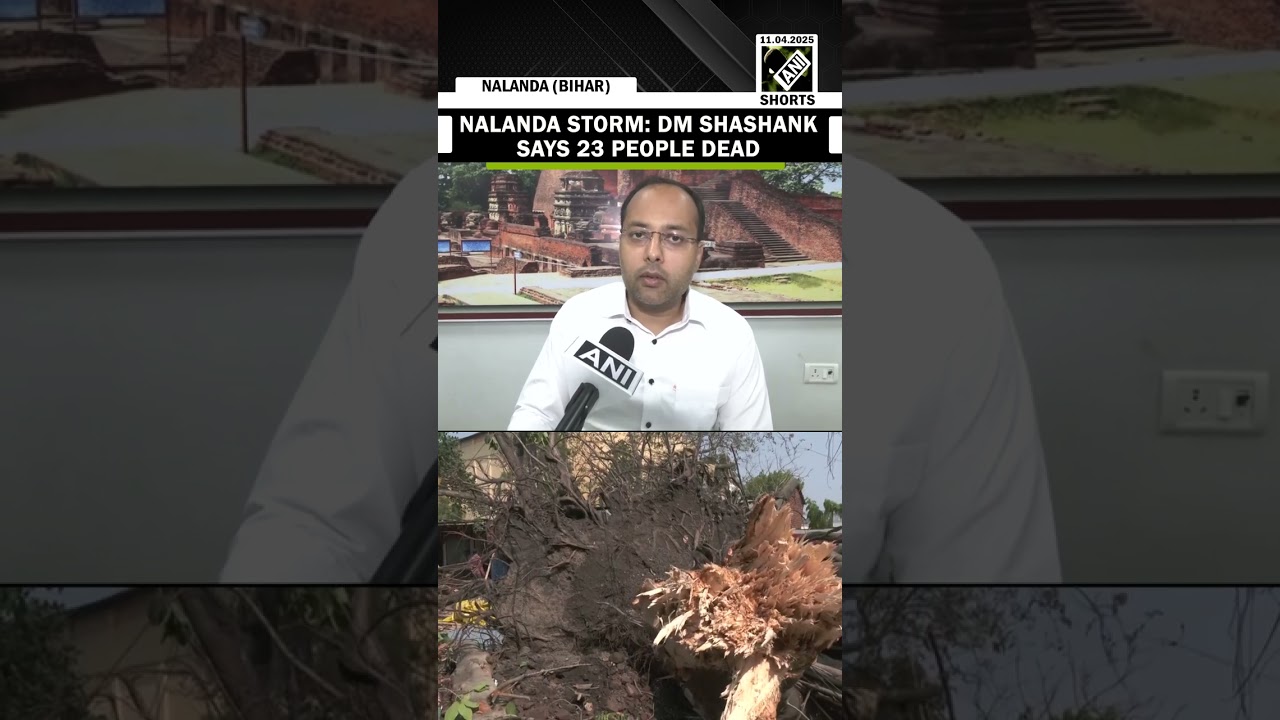 &ldquo;23 people dead&hellip;&rdquo;, Nalanda DM assesses situation after trees uprooted due to storm