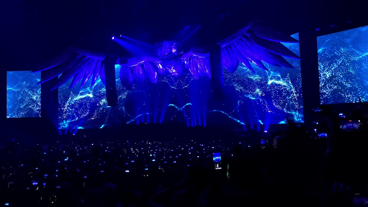 Dimitri Vegas & Like Mike - Garden of Madness 2019 - Intro