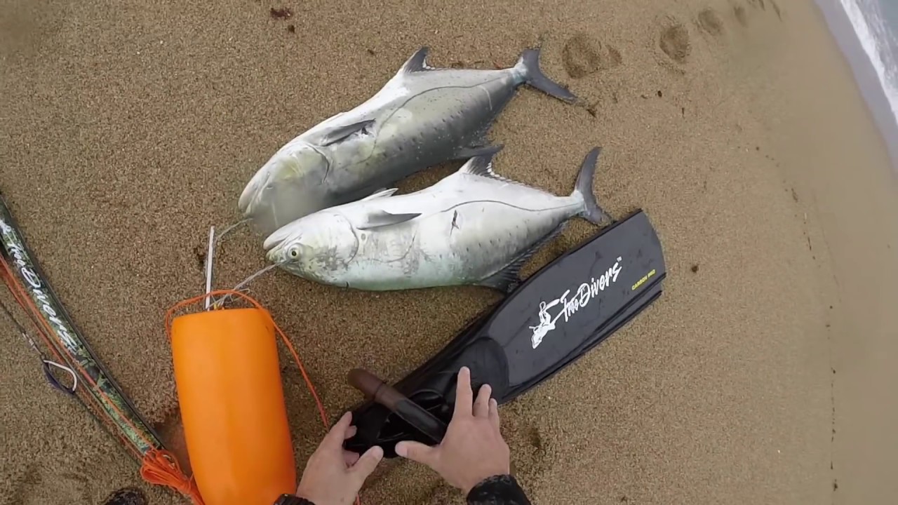 Spearfishing south coast local what a day