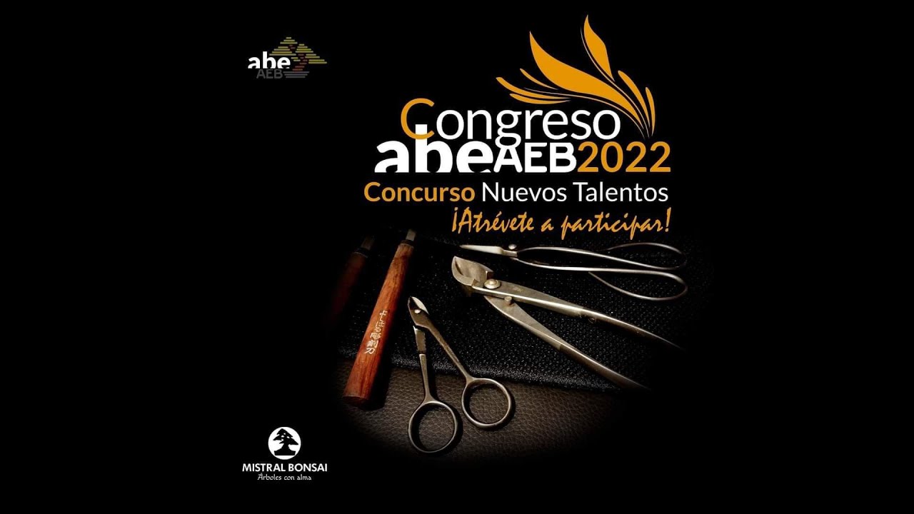Vamossss 3º Puesto Nuevos Talentos ABE 2022