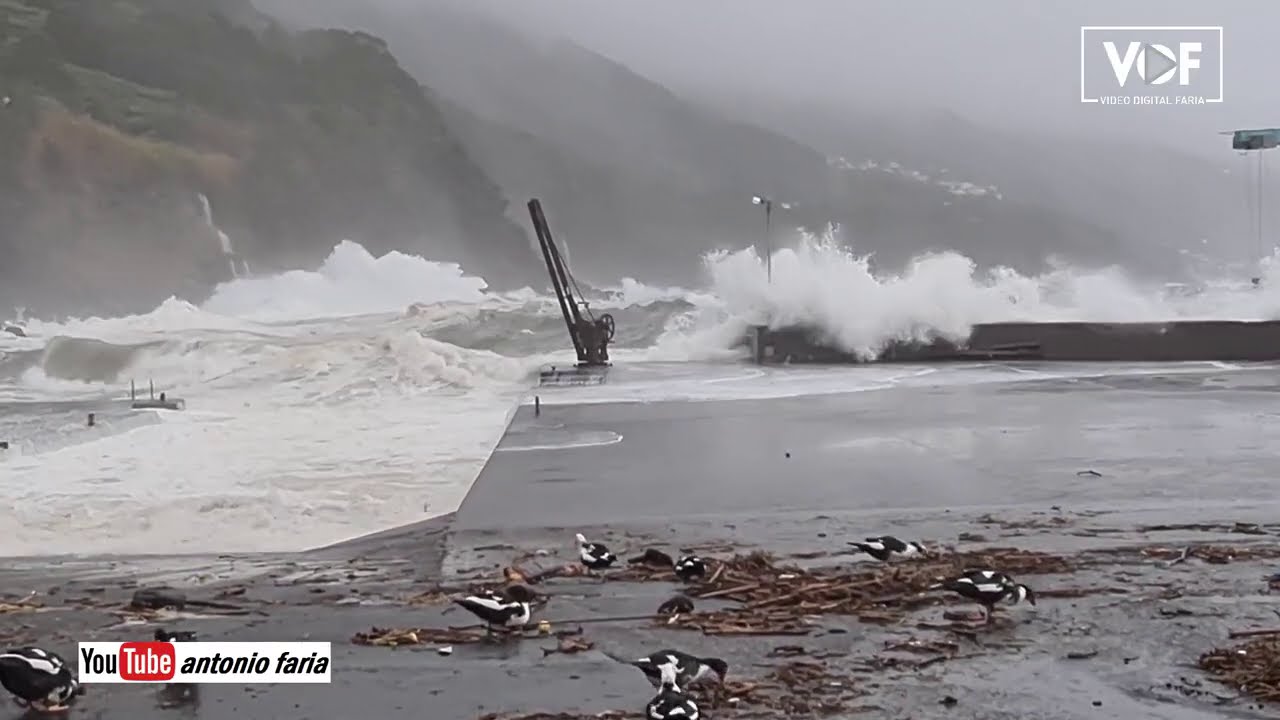 Temporal 03 Janeiro 2021 Ilha do Pico, Calheta Nesquim e Ribeiras