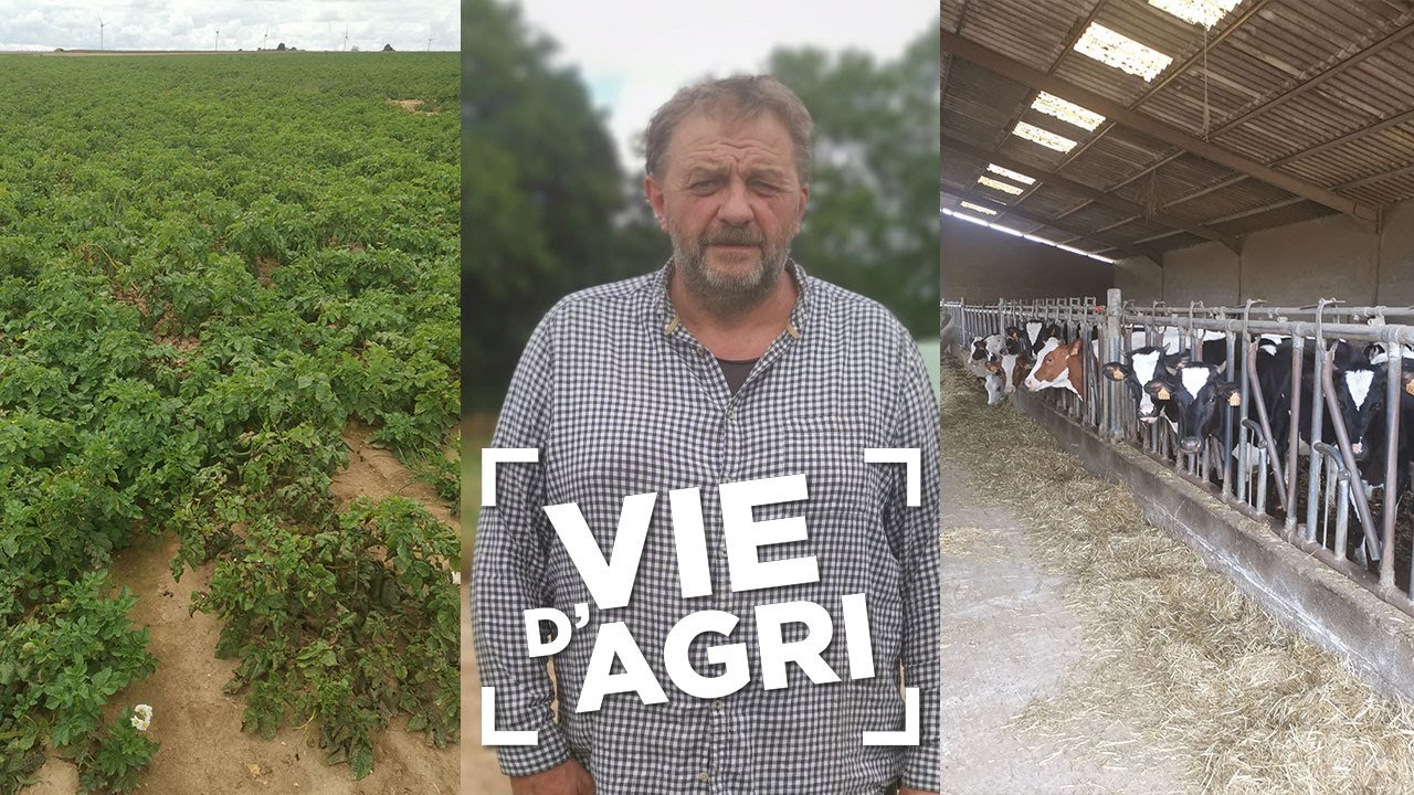 NORIAP - Portrait de Christophe d'Halescourt