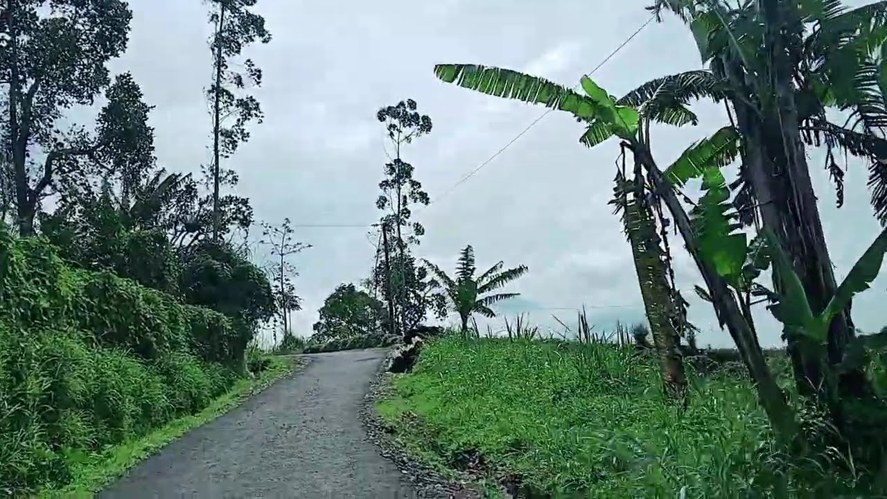 VLOG PEDESAAN 