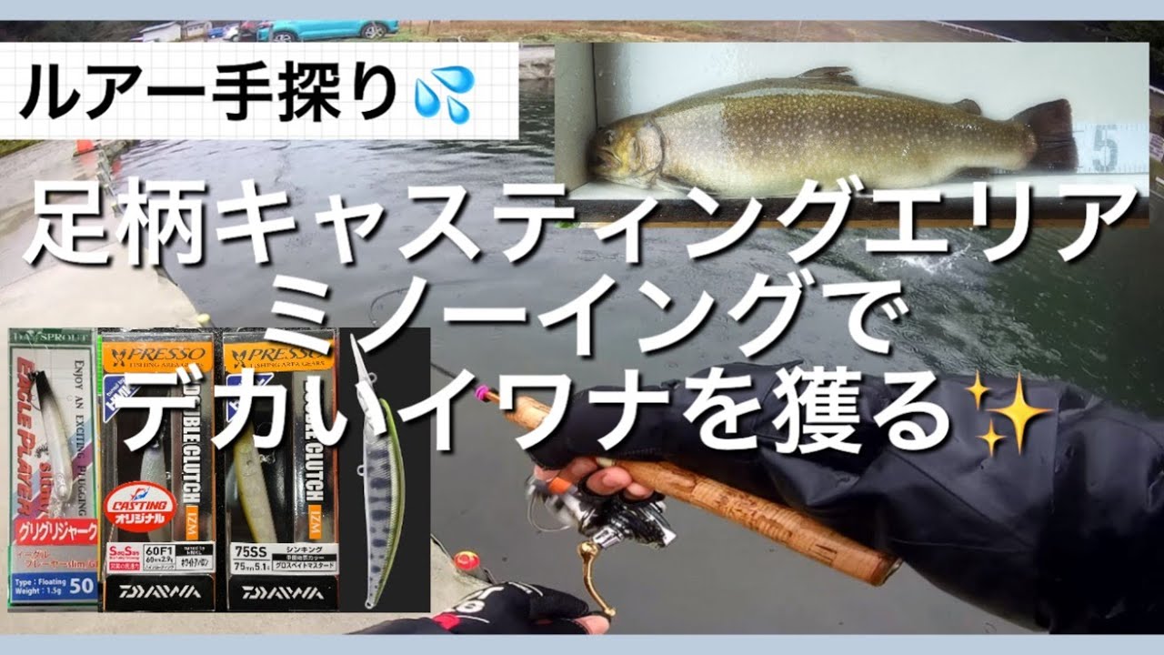 ルアー手探り💦足柄キャスティングエリア ミノーイングで大イワナを獲る✨【エリアトラウト】