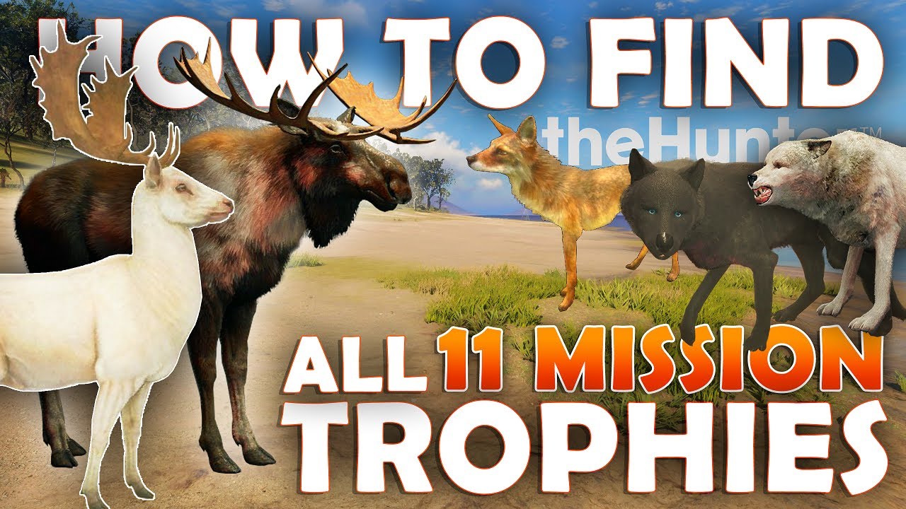 Как найти ВСЕ 11 ТРОФЕЕВ ЗА МИССИИ в Call of the Wild!!!