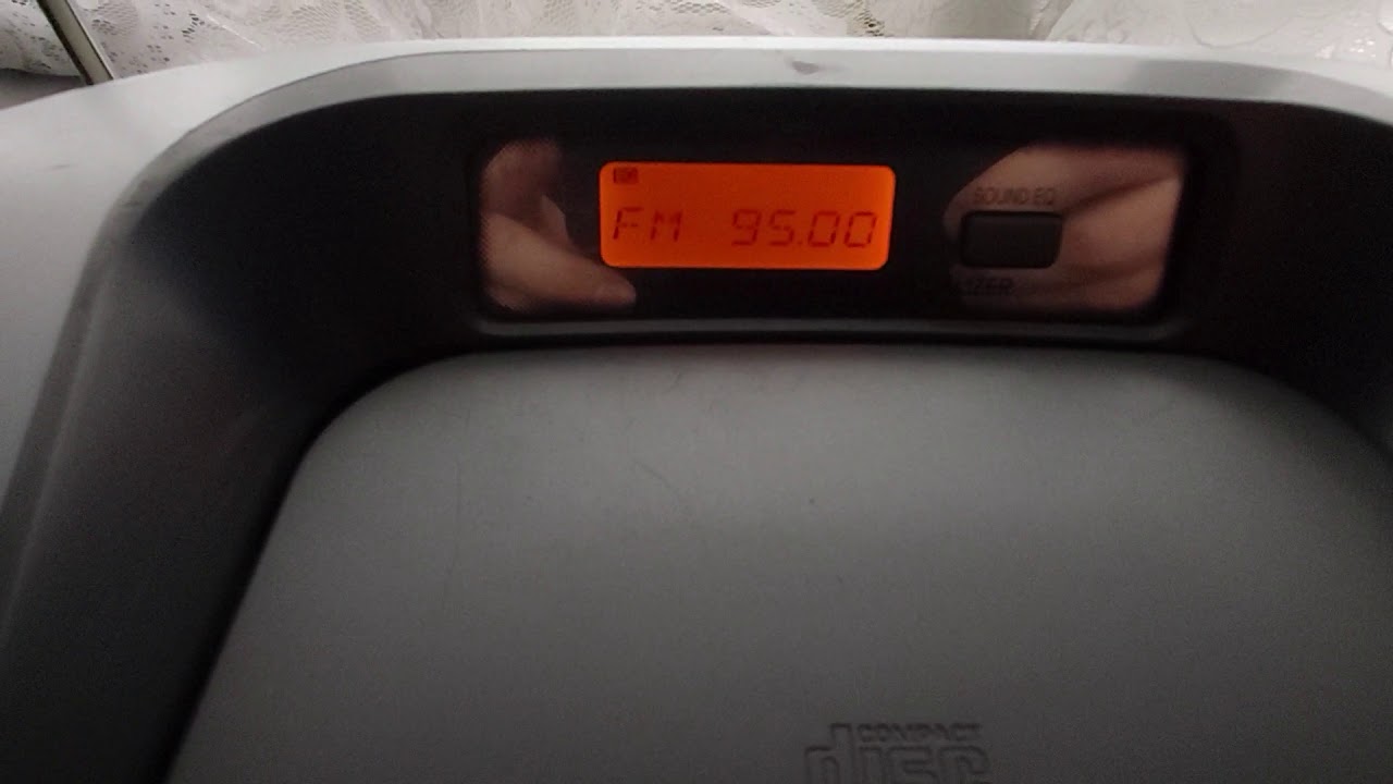 Panasonic  rx-d29
