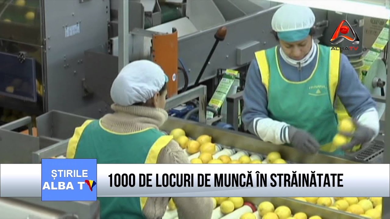 1000 de locuri de muncă &icirc;n străinătate