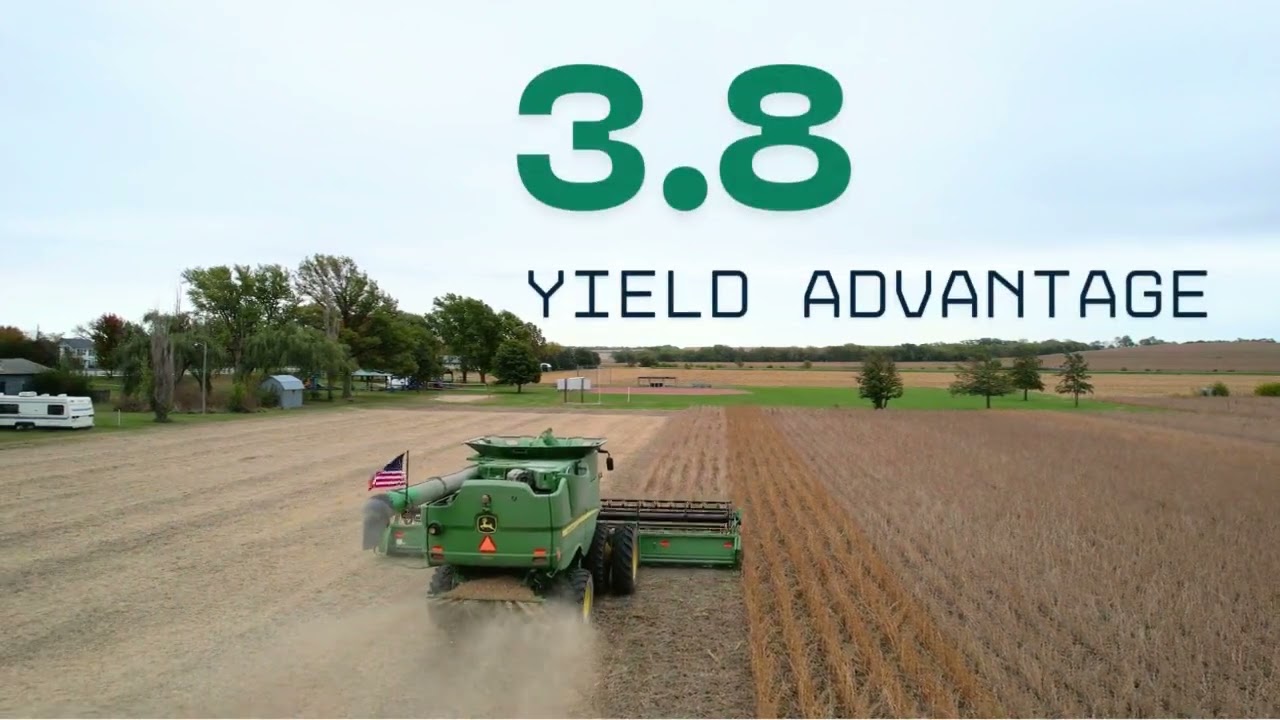 Safeguard Product Update 2026