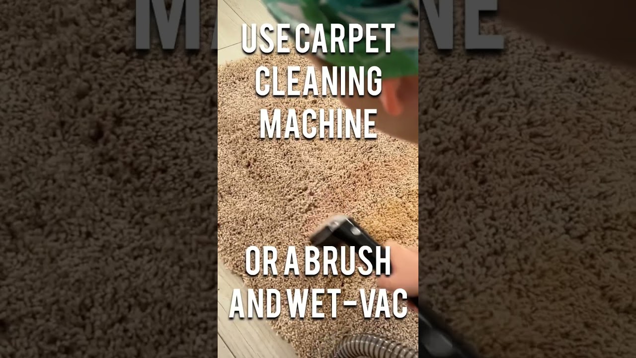 How to remove tough 💪🏼 stains from carpet #diy #tips #hacks #cleaning