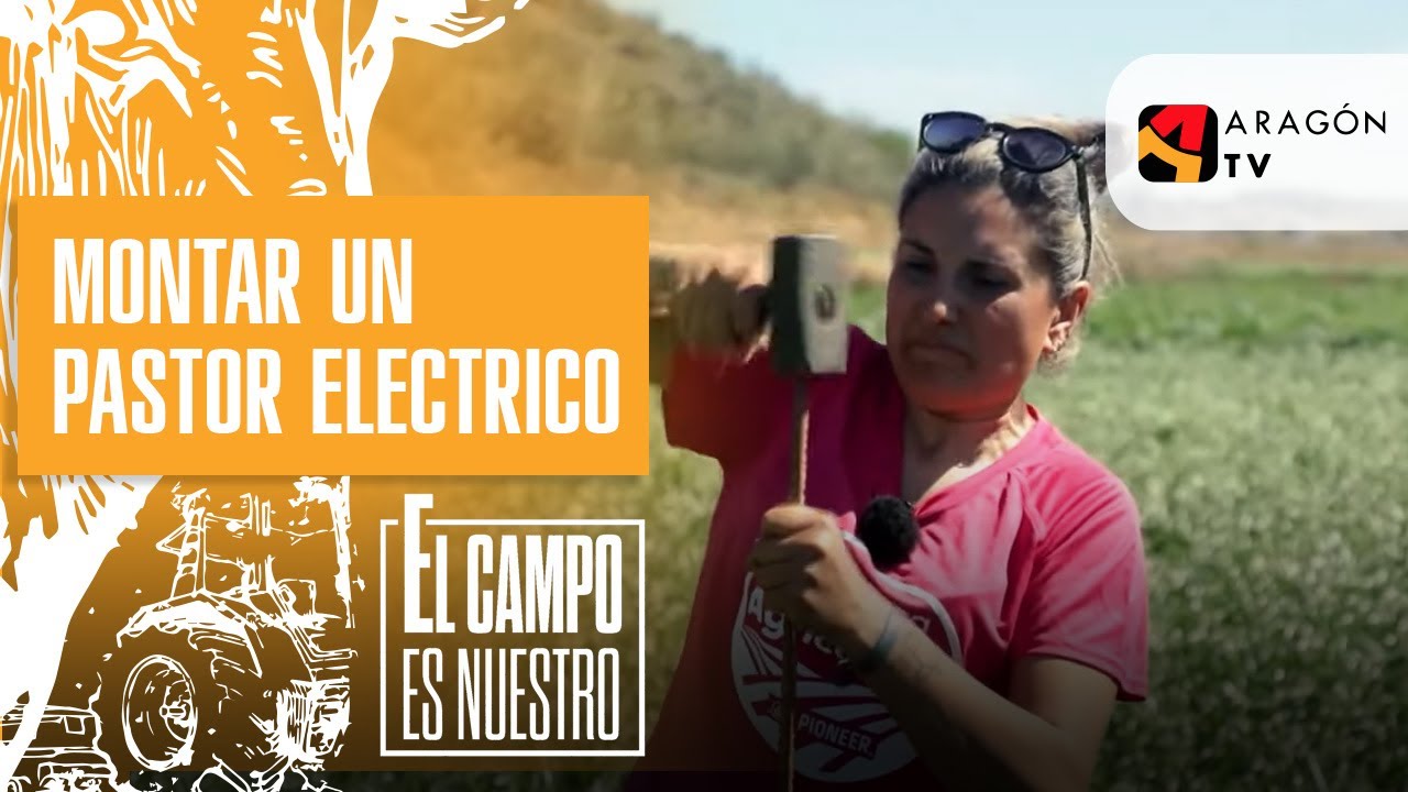 Poco se habla de la turra que es montar un pastor eléctrico