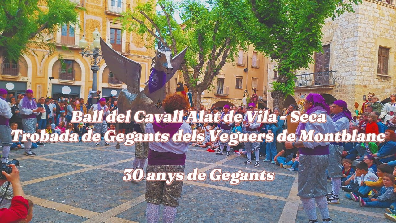 Ball del Cavall Alat de Vila - Seca - Trobada de Gegants Veguers de Montblanc 2024