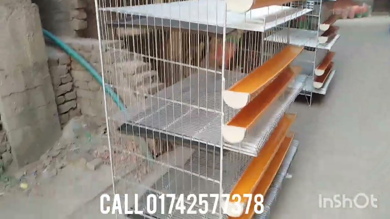 ডিম পাড়ার মুরগী খাঁচা, সারা বাংলাদেশ ডেলিভারি।