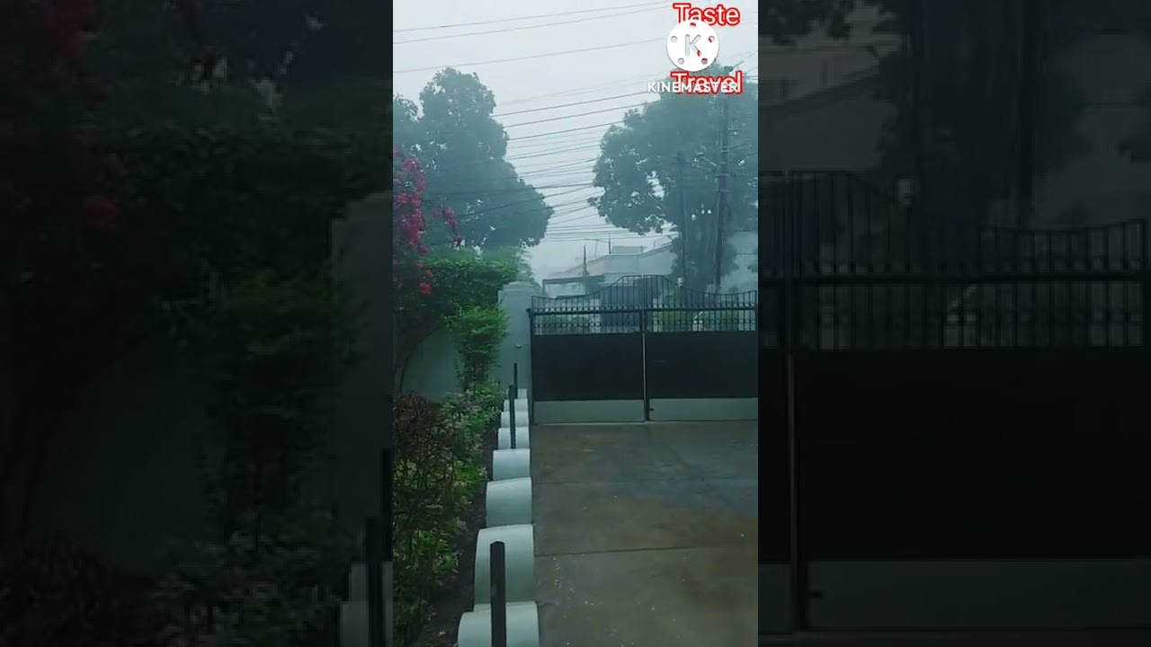 Monsoon Rain | Jammu Weather | Monsoon rain in Jammu & Kashmir | Feel the Rain | Rainy Season