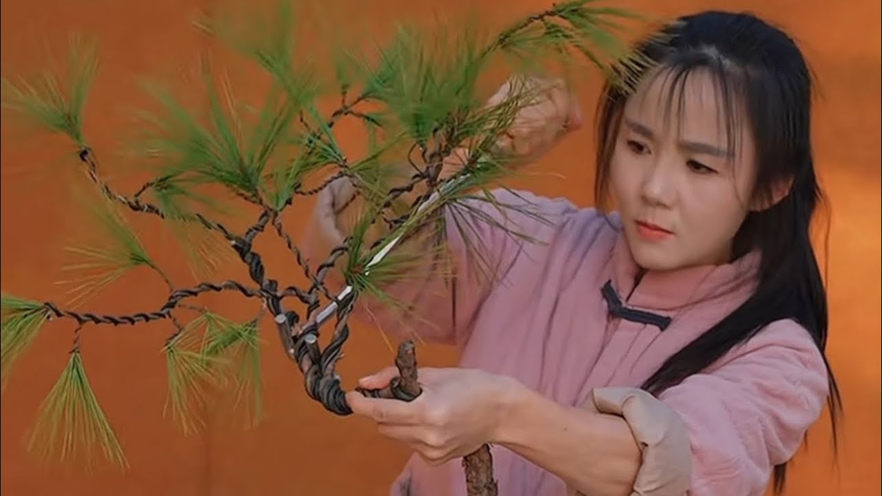 One day I went to the forest to look for ornamental plants.