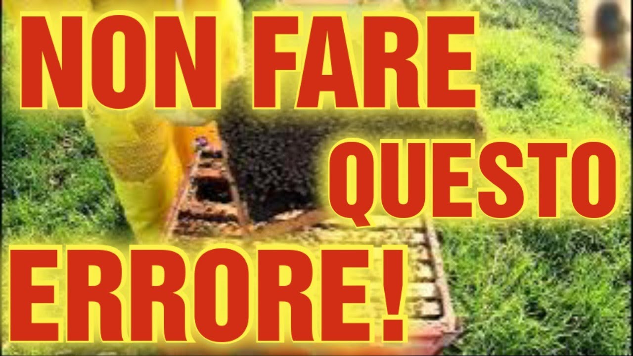 Apicoltura CD: L'errore peggiore che puoi fare adesso