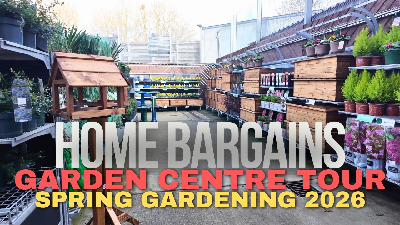 Home Bargains Garden Centre Tour 🌿 Best Deals for Spring Gardening 2026