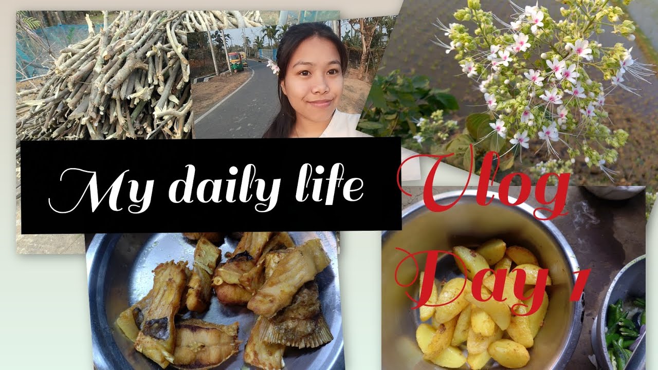 Tini sapog Kam pay lay ya || Daily vlog day:1 #food #cooking #northeastindia #tripurablogger 