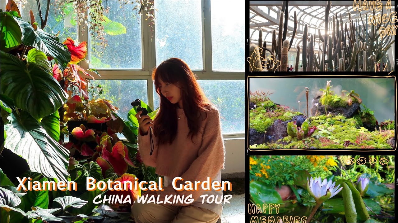 Xiamen Botanical Garden Diary🌳| 4K 廈門植物園Vlog, one of China's most famous 