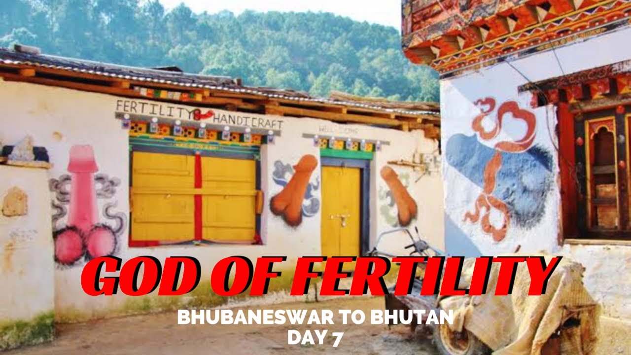 #DAY7 | BHUBANESWAR TO BHUTAN | PUNAKHA | CHIMI LHAKHANG | DRONE SHOTS
