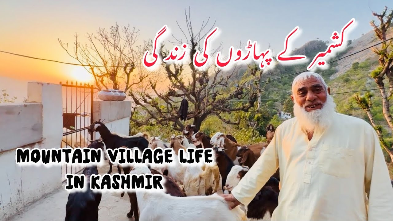 Mountain village life in Kashmir | village life in Kashmir Pakistan کشمیر کے پہاڑوں پر لوگ کیسے رہتے