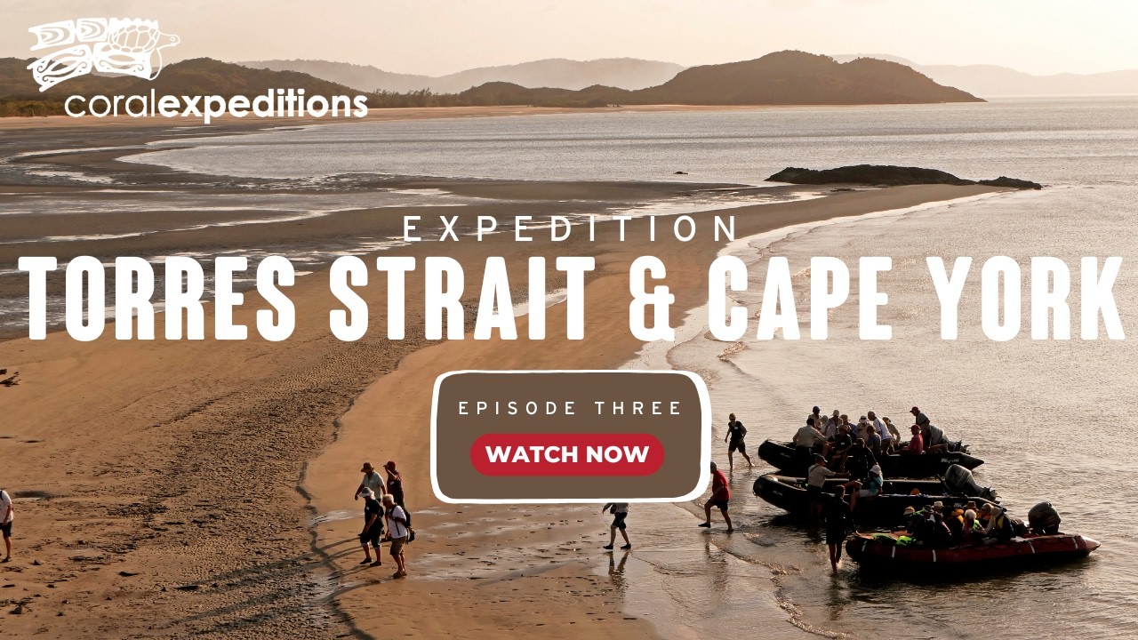 Expedition Australia: Episode 3: Torres Strait and Cape York