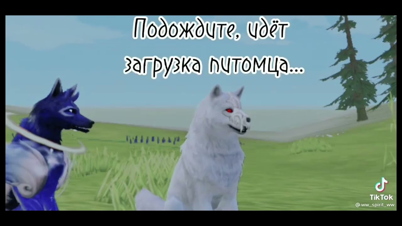 Wildcraft Tiktok compilation