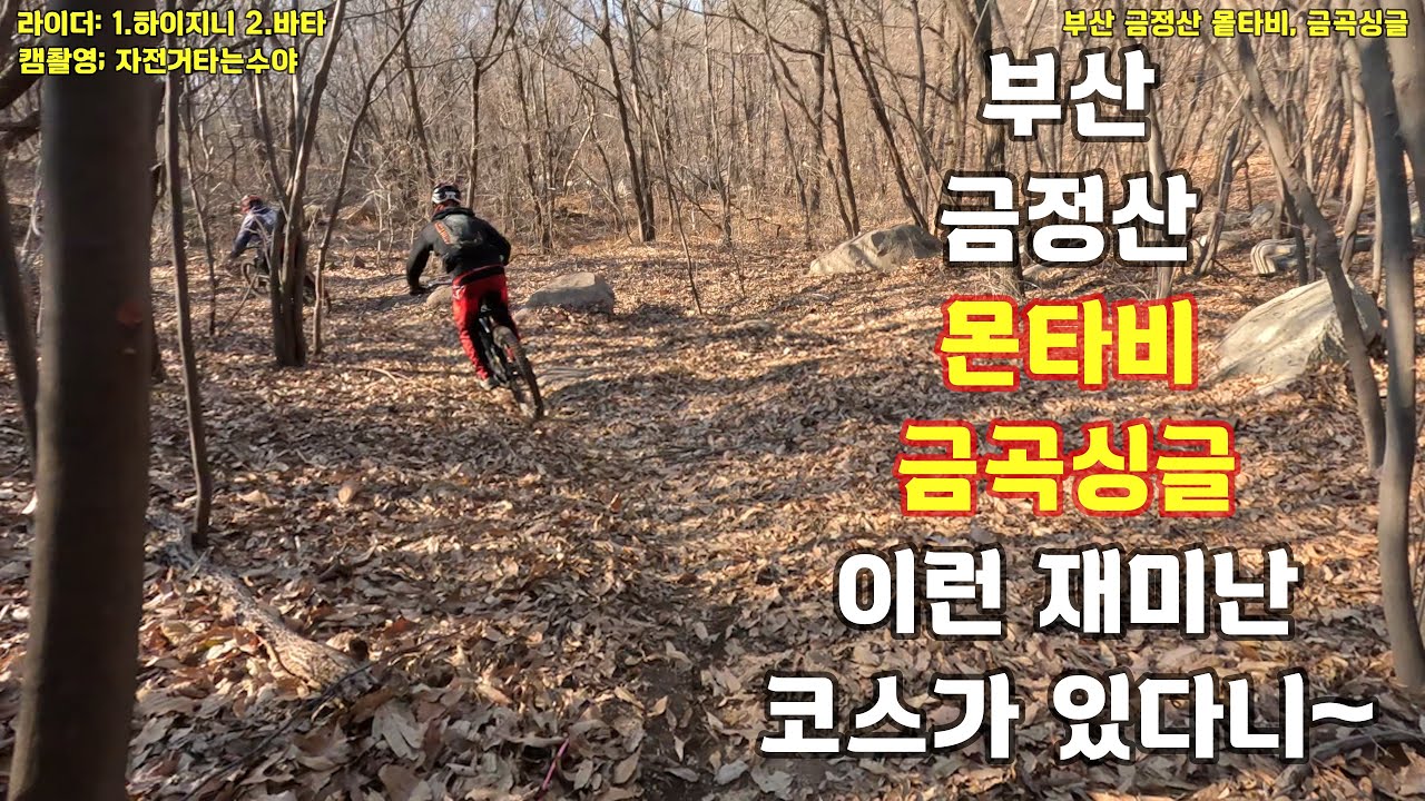 부산 금정산 몬타비, 금곡싱글. 이런 꿀잼 코스가 있다니~!#몬타비#금곡싱글#붉은낙타#하이지니#바타#라인eMTB클럽