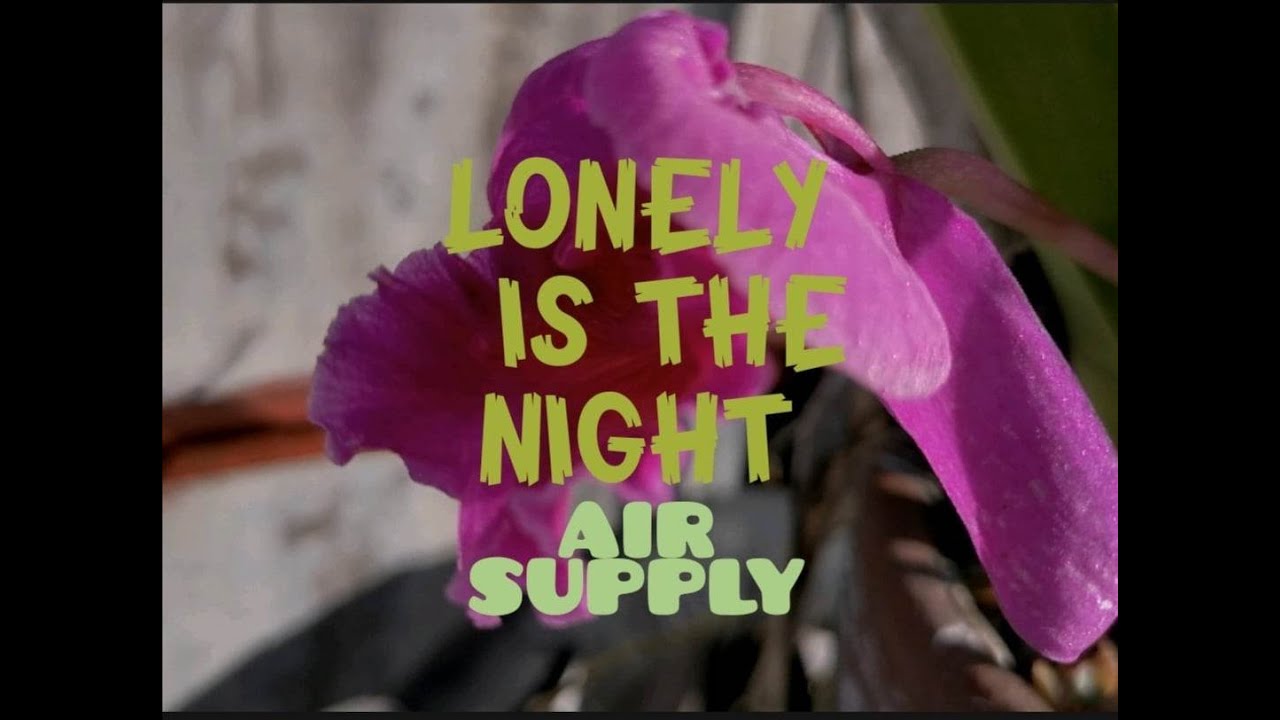 LONELY IS THE NIGHT - AIR SUPPLY (with lyrics)