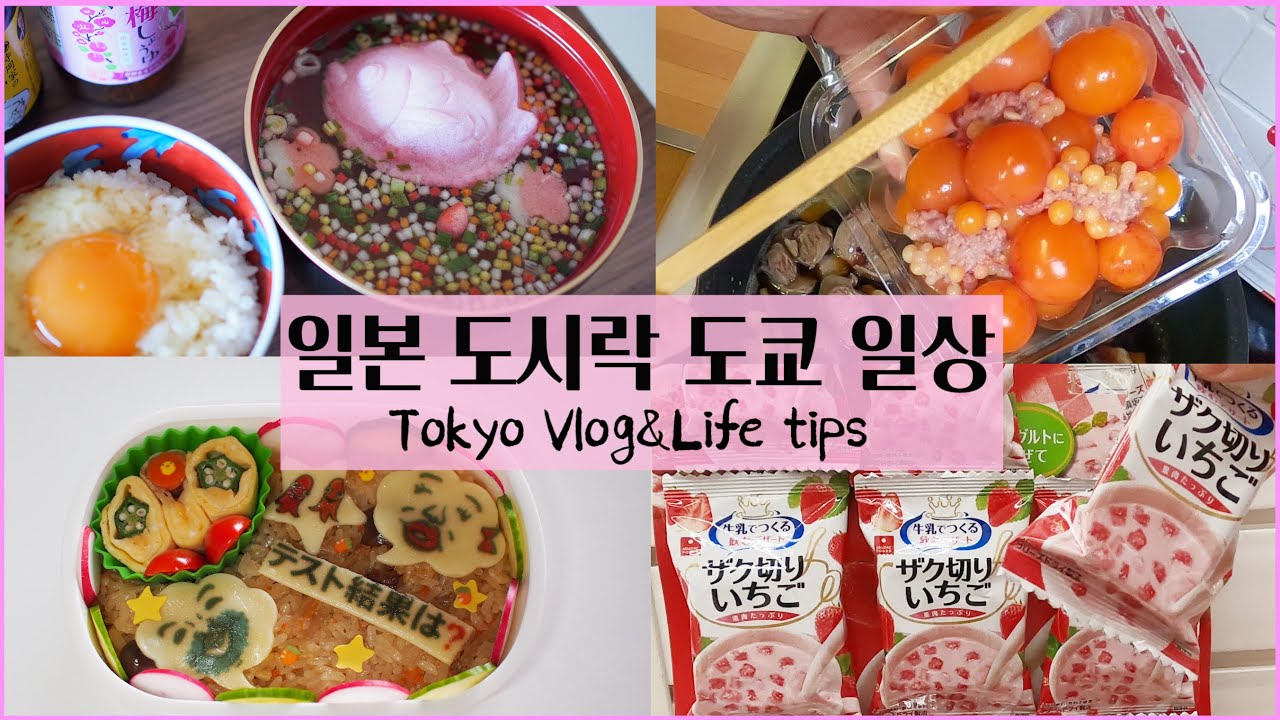 (ENG)일본 도시락,일상🍱처음 먹어본 식재료⭐️도쿄 마트 장보고🛒세상 쉬운 일본 가정식 몇가지 만들기・일본에서 공짜로 고기 먹는 방법・이상적인 스키야키 소스 만들기✨