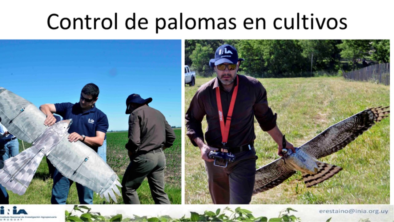 El campo en Uruguay: una opción de futuro