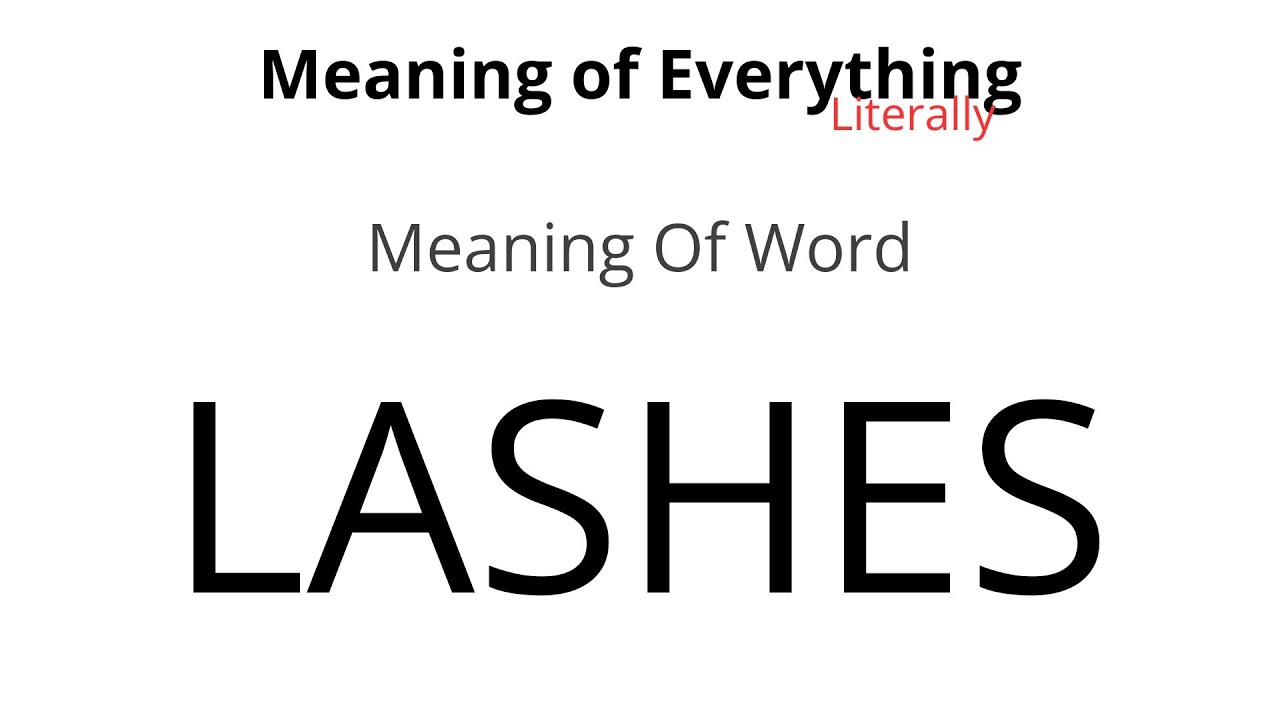 Meaning of Word - Lashes Meaning
