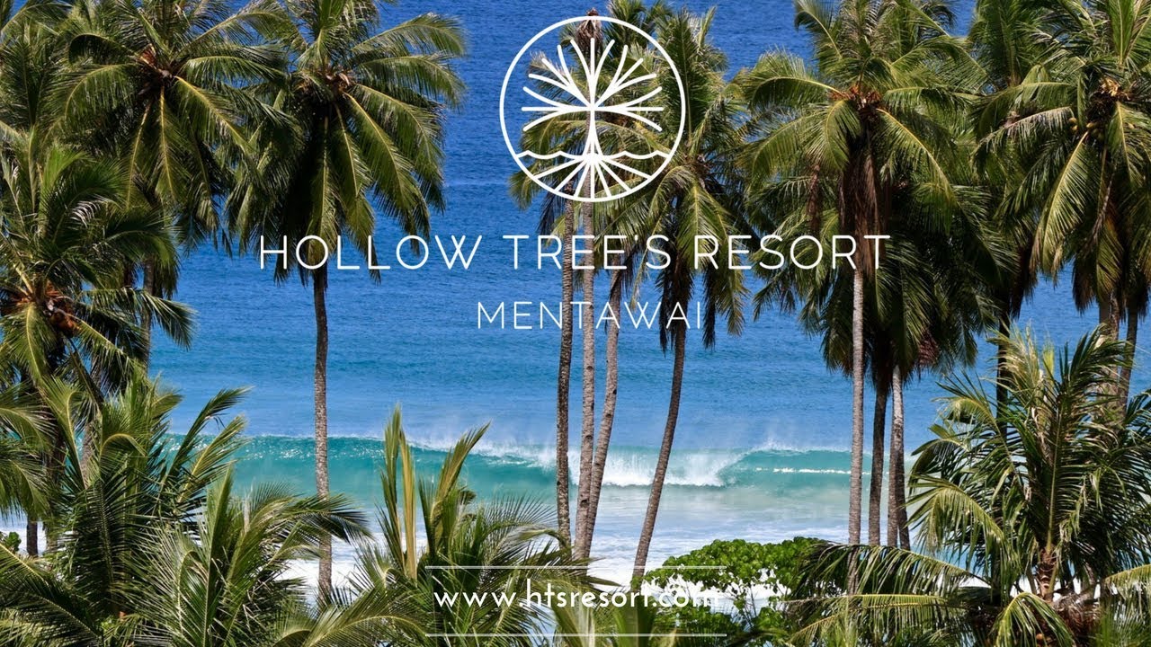 Beginner's Surf Trip In Mentawai | Surf Lessons Available