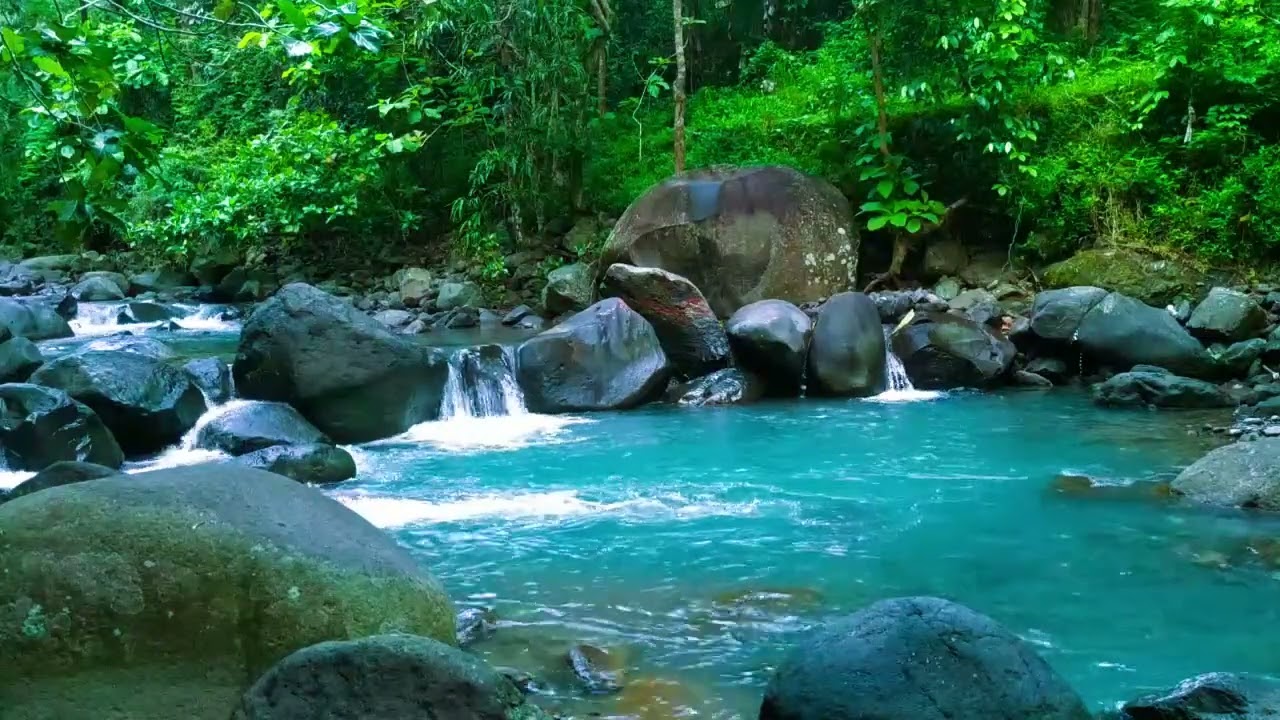 River Sounds 💧 Sleep Sounds of Flowing River & ASMR Water Flow - Relaxing Ambience