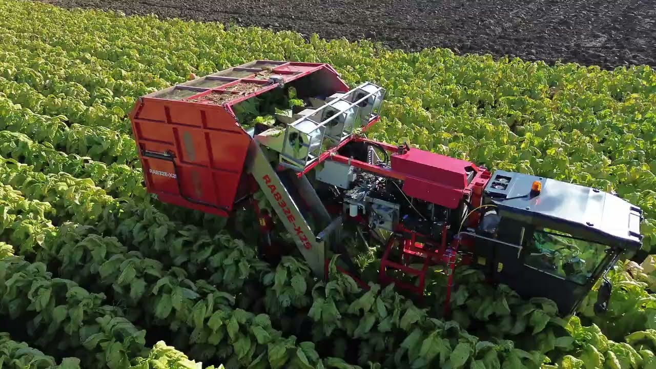 SPAPPERI - RA832E-X25