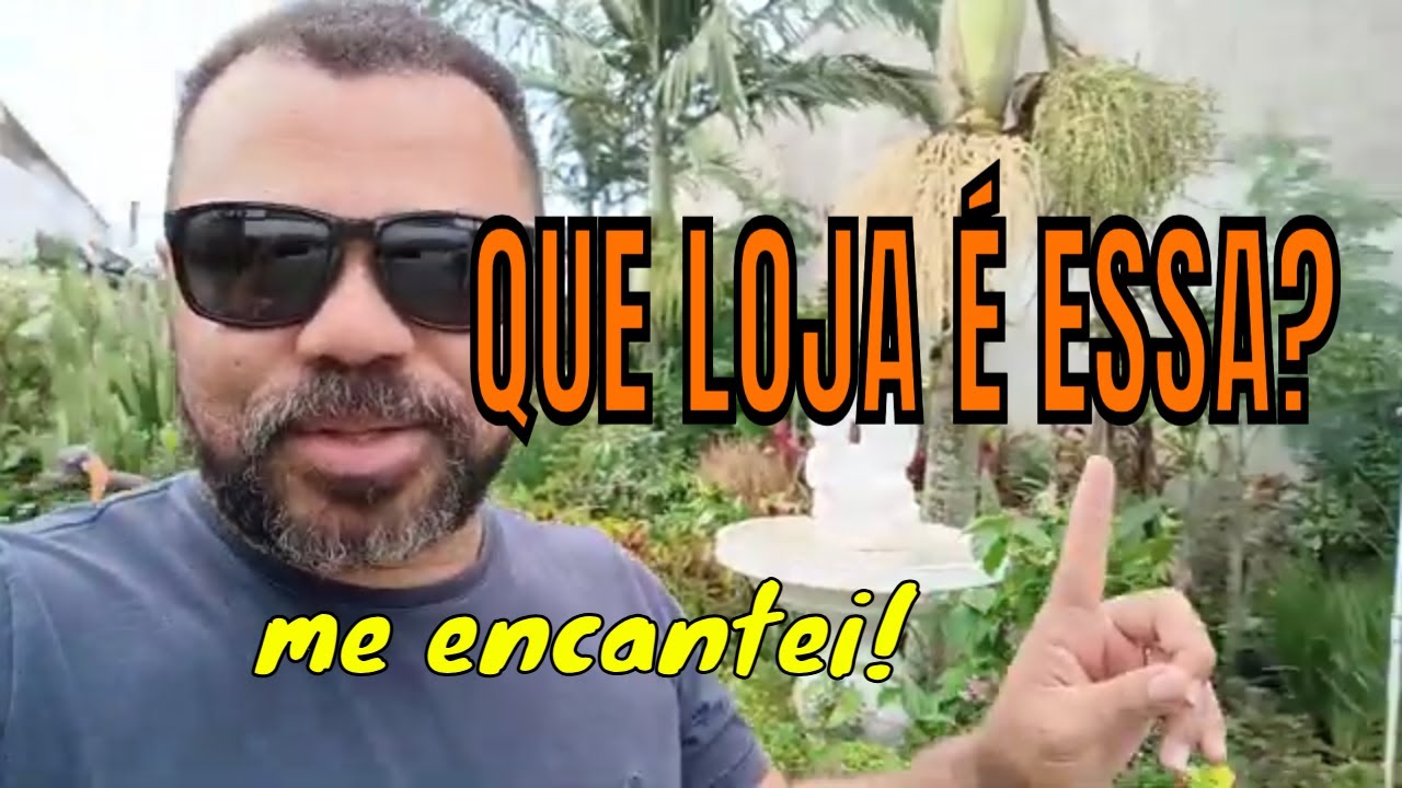 Nunca vi tantas suculentas lindas em um só lugar