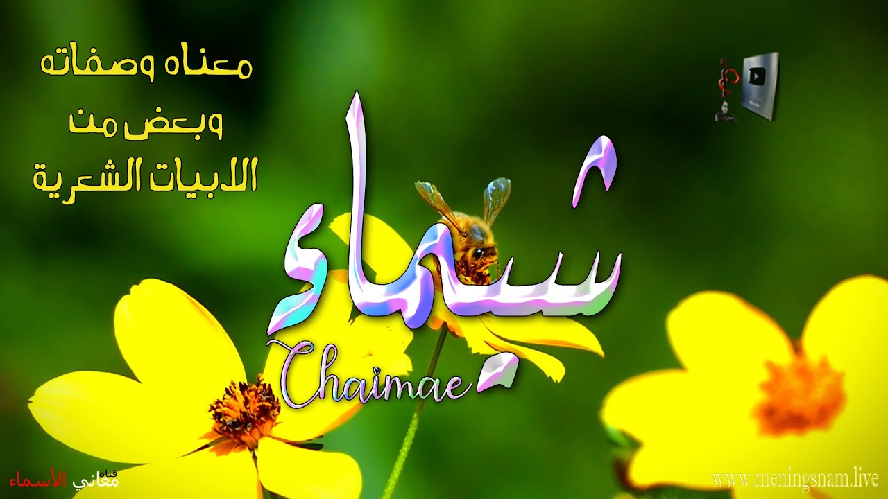 ما معنى اسم شيماء وصفات حاملة هذا الاسم على قناة معاني الاسماء #chaimae
