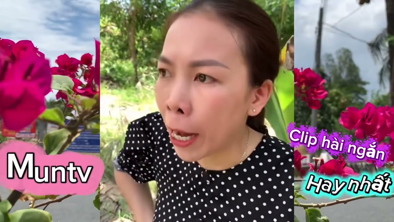 Những clip h&agrave;i ngắn hay nhất #muntv3979 