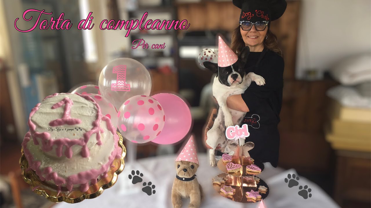 Торт на день рождения для собаки-By Sfizi a 4-legged 🐾🐾