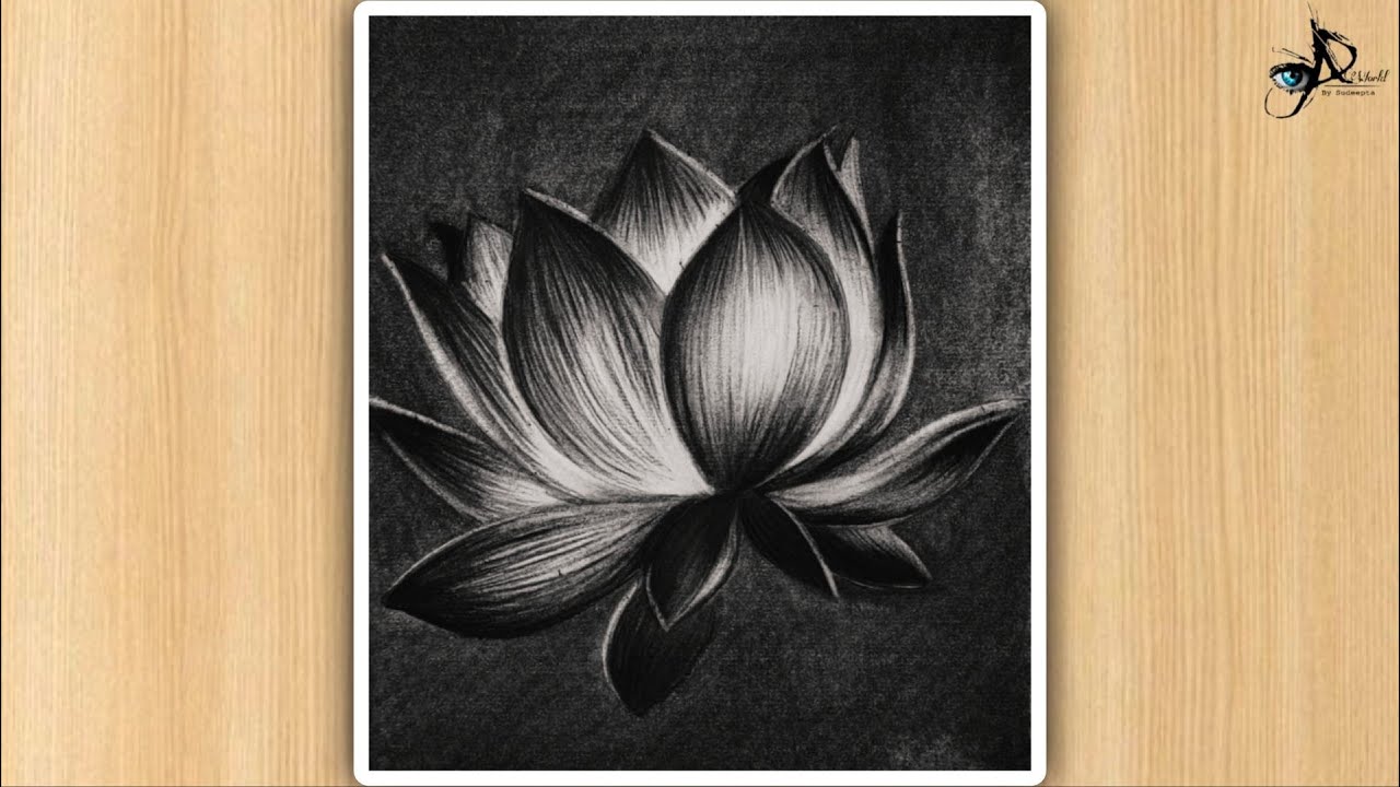 How to draw "Lotus Drawing | Realistic Lotus Charcoal Sketch | Easy Flower Art Tutorial"