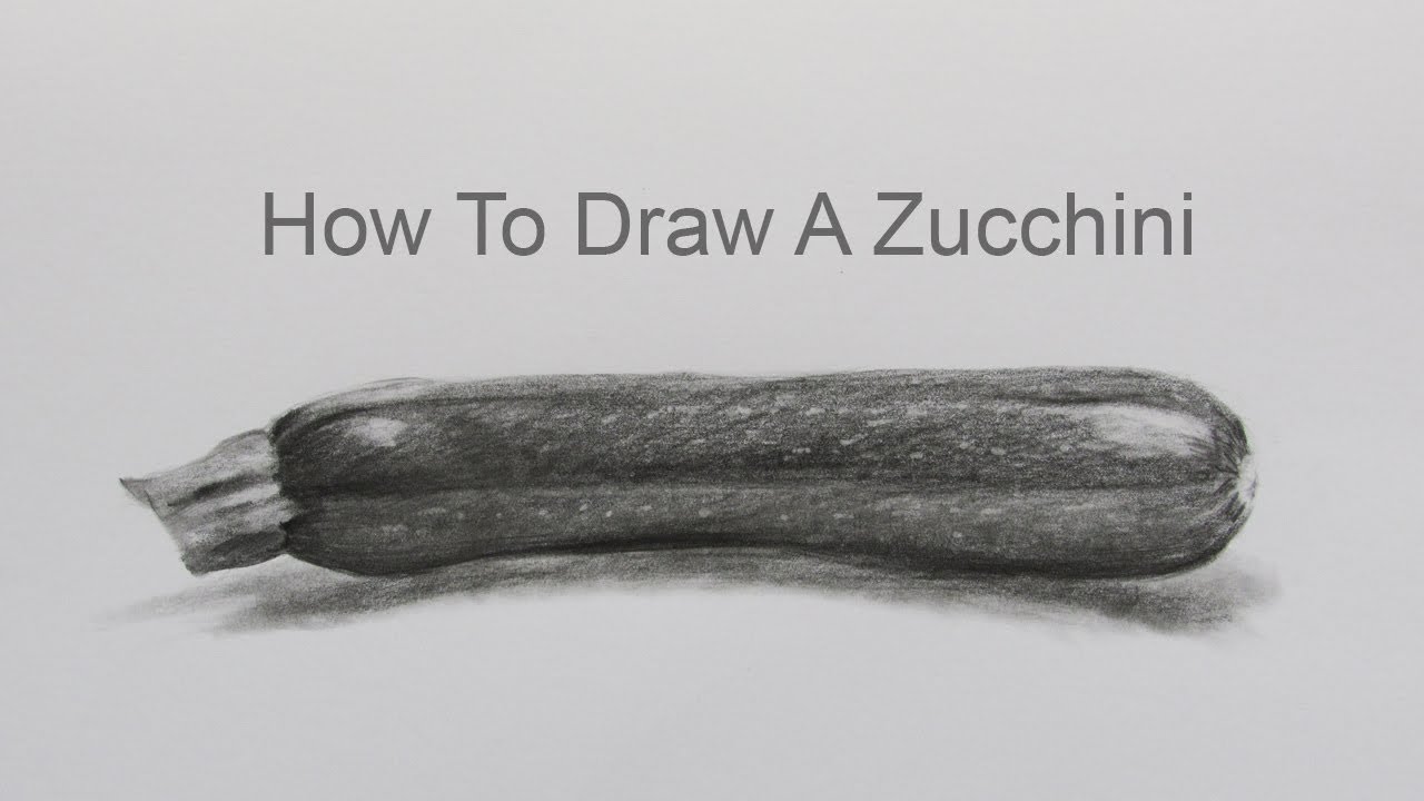 How To Draw A Zucchini Step By Step: Pencil Sketch Zucchini Drawing