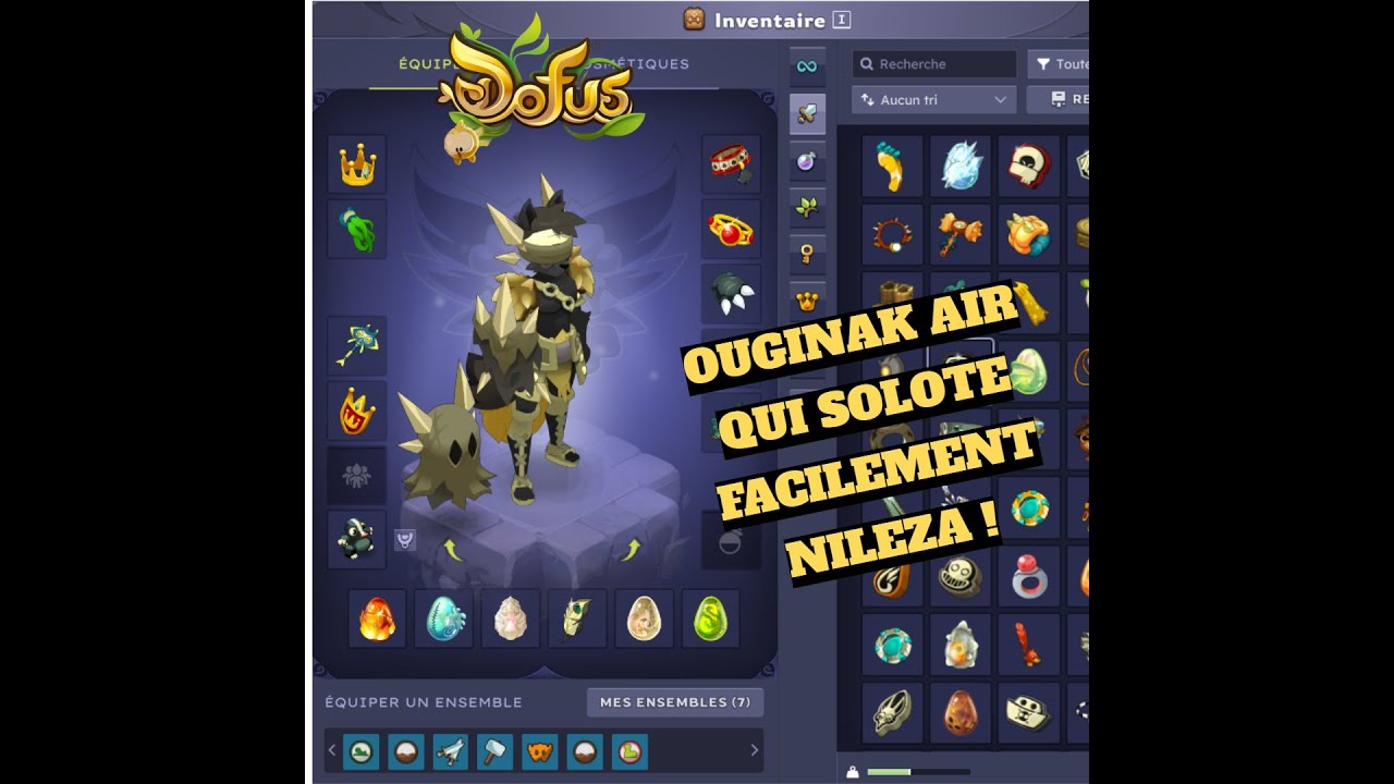Solotage du donjon Nileza avec l'OUGINAK AIR !